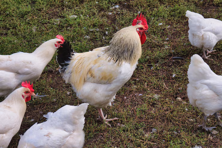 Στιγμιότυπο