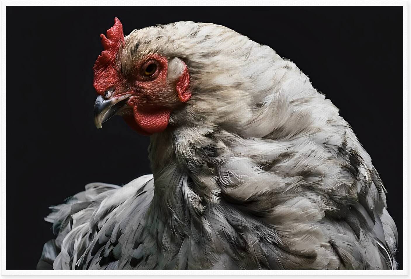 Στιγμιότυπο 1